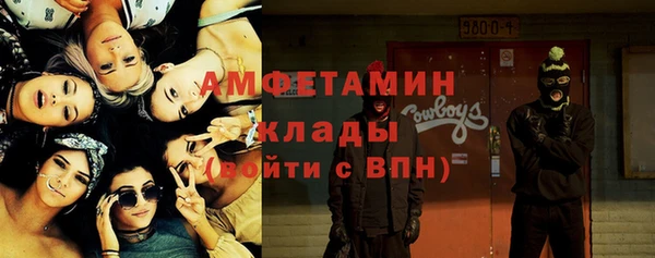 прущие грибы Дмитров
