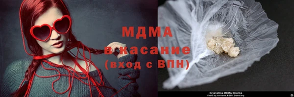 прущие грибы Дмитров