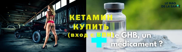прущие грибы Дмитров