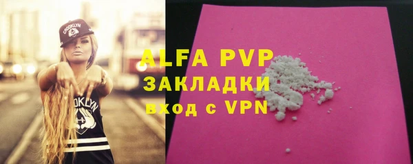дмт Дмитриев
