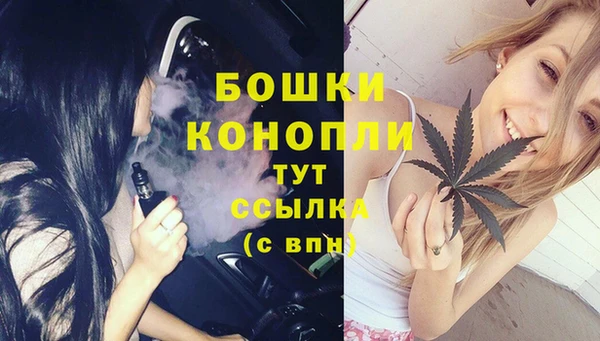 прущие грибы Дмитров