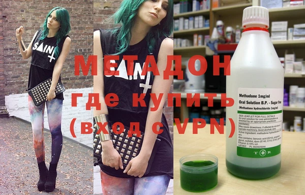 прущие грибы Дмитров