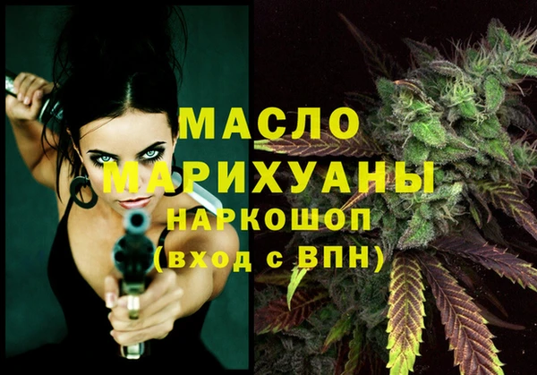 дмт Дмитриев
