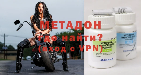 прущие грибы Дмитров