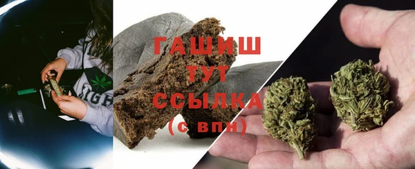 дмт Дмитриев
