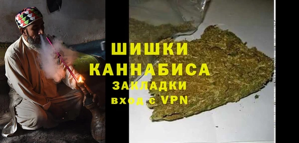 прущие грибы Дмитров