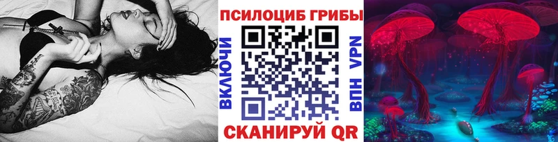 Купить закладки  Кирс  Псилоцибиновые грибы мицелий 